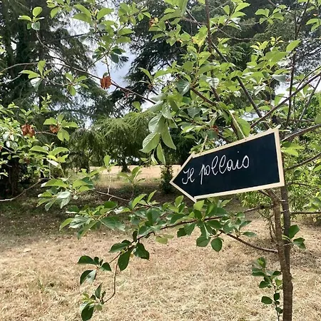 Trulli Violetta - In Valle D'itria Pensionat Martina Franca