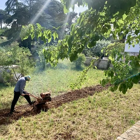 Pensionat Trulli Violetta - In Valle D'itria
