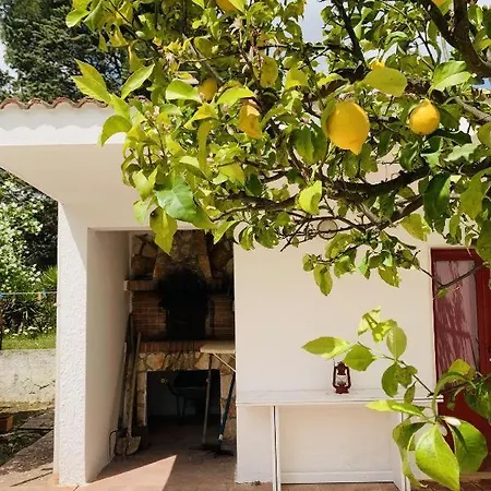 Pensionat Trulli Violetta - In Valle D'itria