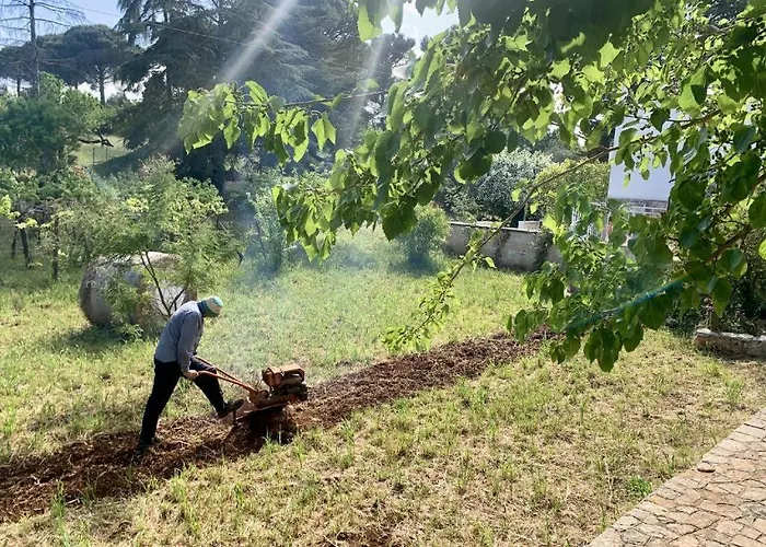 招待所 Trulli Violetta - In Valle D'itria